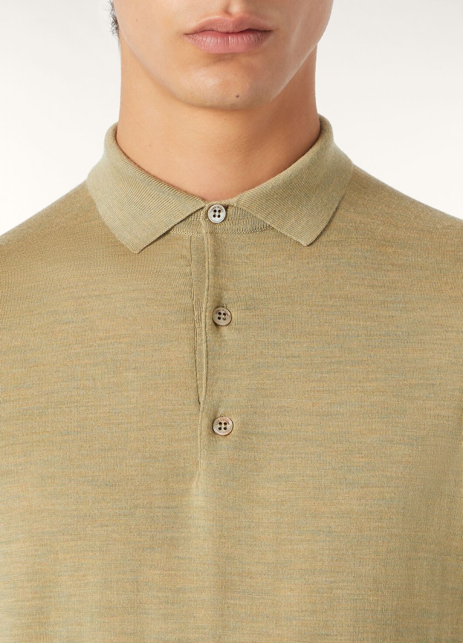 polo wish woolly dried artemisia