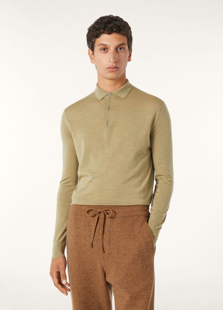 polo wish woolly dried artemisia