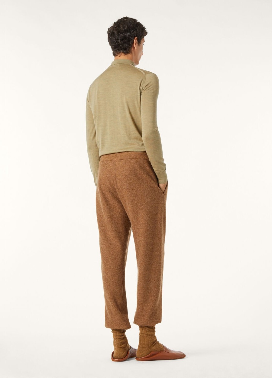 polo wish woolly dried artemisia