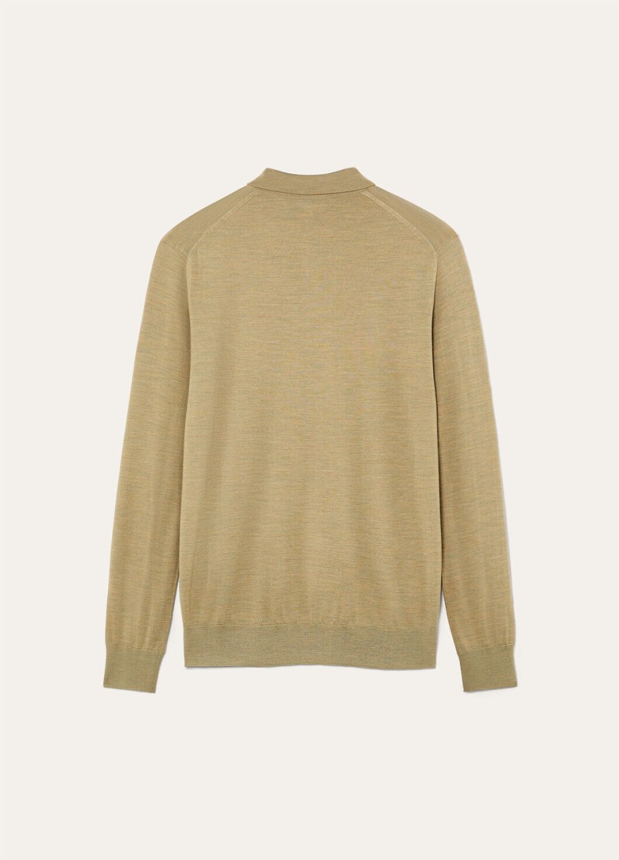 polo wish woolly dried artemisia
