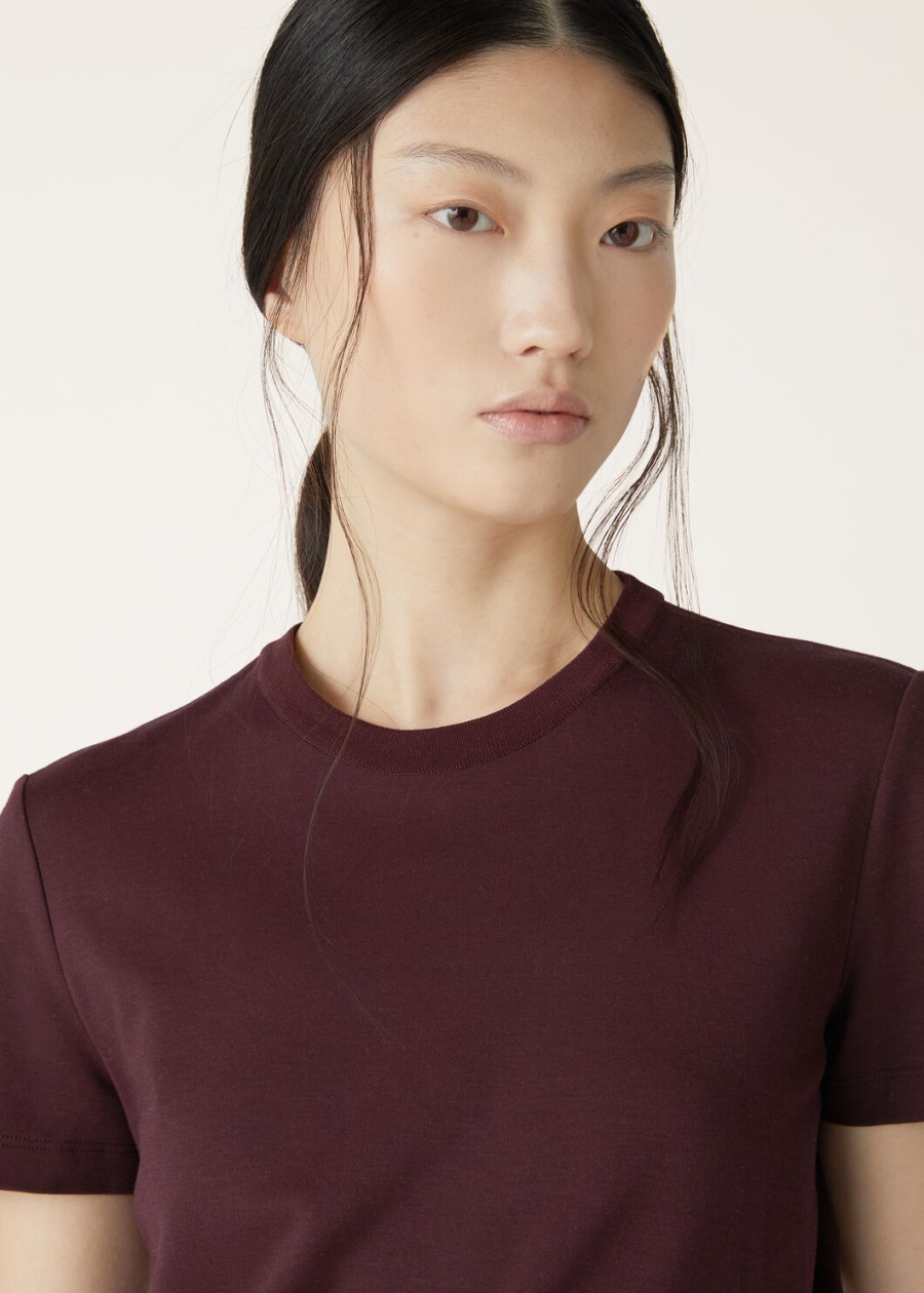 koszulka my-t cotton deep burgundy